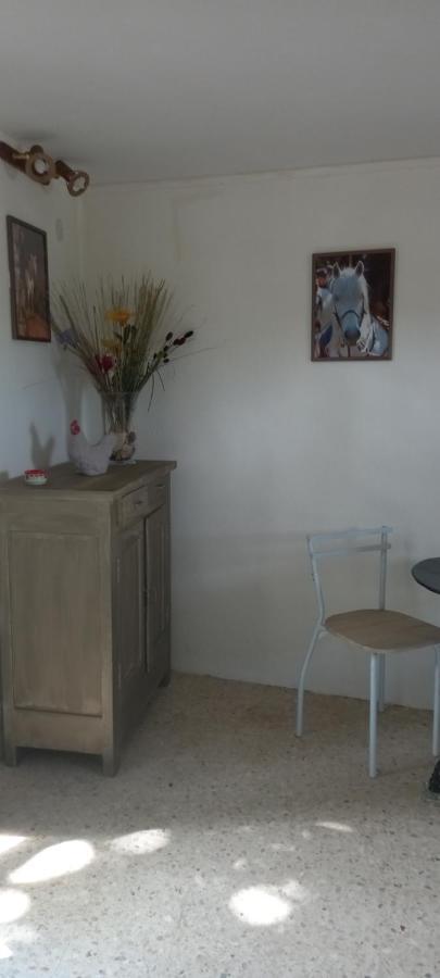 Petite Maison Dans La Campagne A 10 Mn A Pied Du Centre Ville Arles Exterior foto